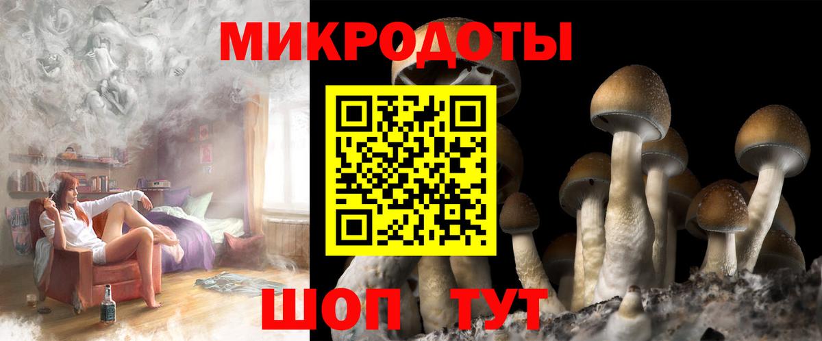 Нефтекумск  цена наркотик  Вход с VPN  Псилоцибиновые грибы мицелий 